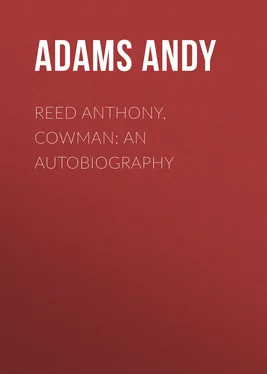 Andy Adams Reed Anthony, Cowman: An Autobiography обложка книги