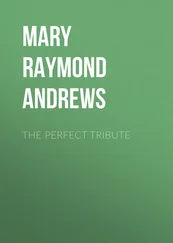 Mary Raymond Shipman Andrews - The Perfect Tribute