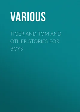 Various Tiger and Tom and Other Stories for Boys обложка книги