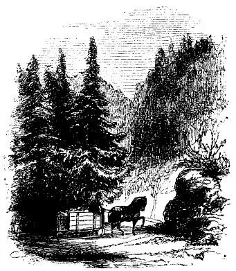 The LumberBox Why when the country was first settled they used to carry - фото 4