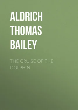 Thomas Aldrich The Cruise of the Dolphin обложка книги