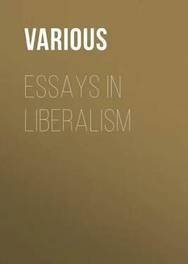 Various Essays in Liberalism обложка книги