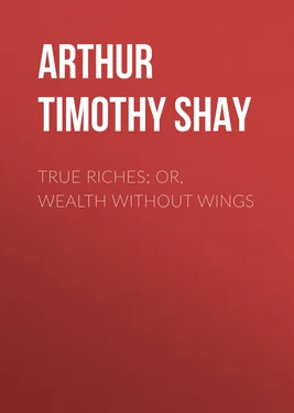 Timothy Arthur True Riches; Or, Wealth Without Wings обложка книги