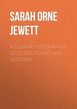 Sarah Orne Jewett A Country Doctor and Selected Stories and Sketches обложка книги