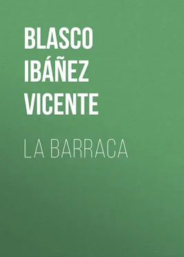 Vicente Blasco Ibáñez La Barraca обложка книги