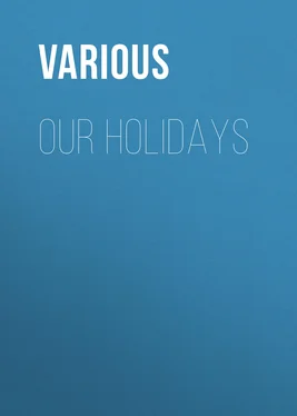 Various Our Holidays обложка книги