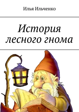 Илья Ильченко История лесного гнома обложка книги