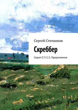 Сергей Степанков Скреббер. Серия S.T.I.C.S. Продолжение обложка книги