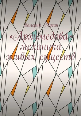 Валерий Мусин «Архимедова» механика живых существ обложка книги