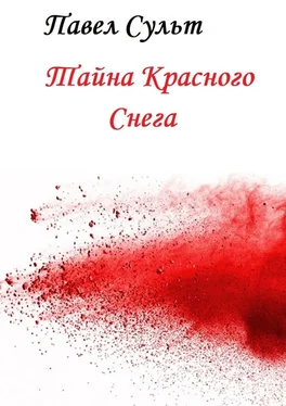 Павел Сульт Тайна красного снега обложка книги