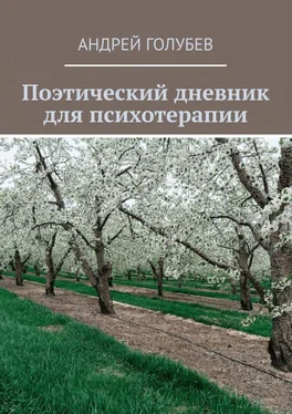 Андрей Голубев Поэтический дневник для психотерапии обложка книги