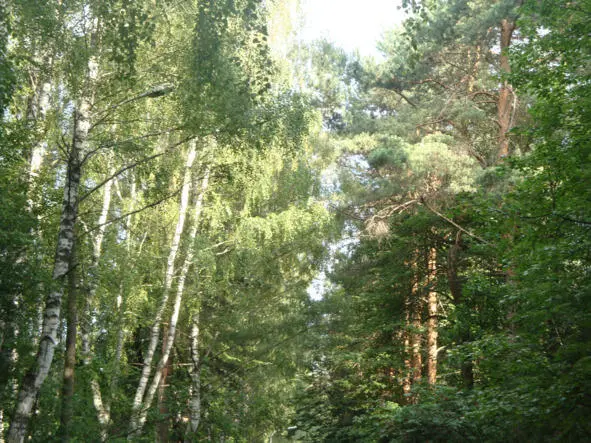 Ликует солнце в красках света Ликует солнце в красках света Из тайников - фото 3