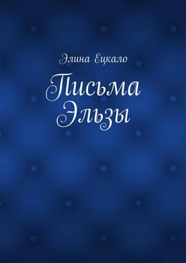 Элина Ецкало Письма Эльзы обложка книги