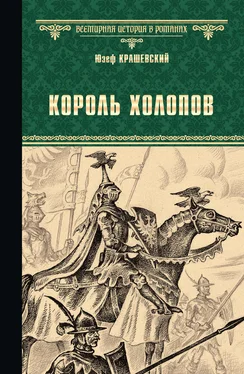 Юзеф Игнаций Крашевский Король холопов обложка книги