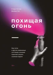 Джейми Уил - Похищая огонь. Как поток и другие измененные состояния сознания помогают решать сложные задачи