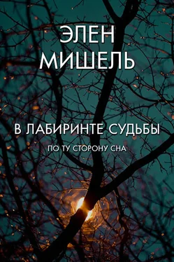 Элен Мишель В лабиринте судьбы: по ту сторону сна обложка книги