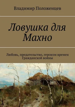 Владимир Положенцев Ловушка для Махно. Любовь, предательство, героизм времен Гражданской войны обложка книги