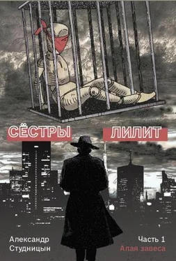 Александр Студницын Алая завеса обложка книги