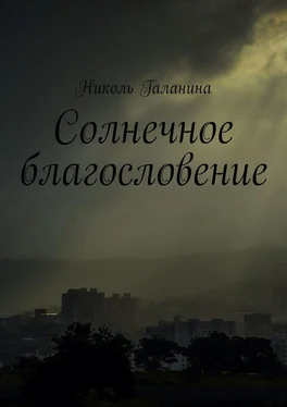 Николь Галанина Солнечное благословение обложка книги