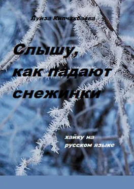 Луиза Кипчакбаева Слышу, как падают снежинки обложка книги