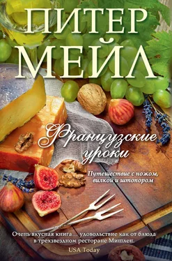 Питер Мейл Французские уроки. Путешествие с ножом, вилкой и штопором обложка книги