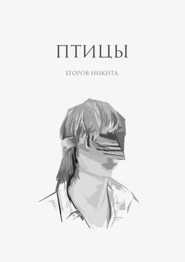 Никита Егоров Птицы обложка книги