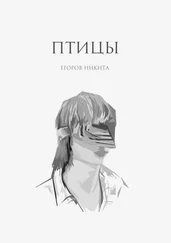 Никита Егоров - Птицы