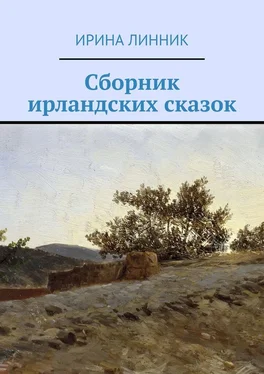 Ирина Линник Сборник ирландских сказок обложка книги