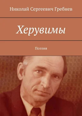 Николай Гребнев Херувимы. Поэзия обложка книги