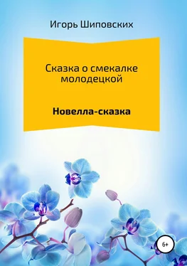 Игорь Шиповских Сказка о смекалке молодецкой обложка книги