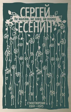 Сергей Есенин Не жалею, не зову, не плачу. Стихотворения 1910-1925 обложка книги
