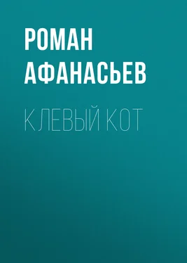 Роман Афанасьев Клевый кот обложка книги