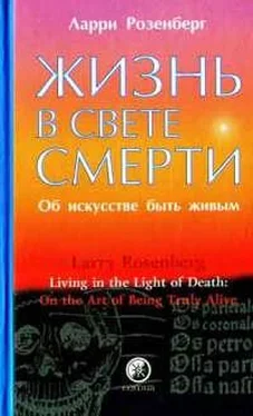 Ларри Розенберг Жизнь в свете смерти. Об искусстве быть живым обложка книги