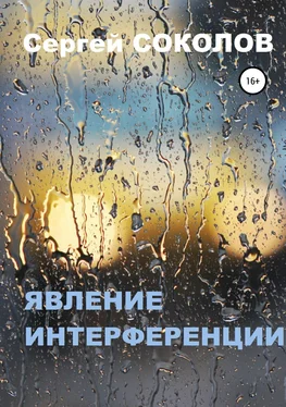 Сергей Соколов Явление интерференции обложка книги