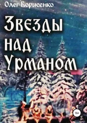 Олег Борисенко - Звезды над урманом