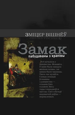 Зміцер Вішнеў Замак пабудаваны з крапівы обложка книги