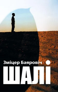 Зміцер Баяровіч Шалі (зборнік) обложка книги