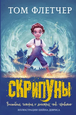 Том Флетчер Скрипуны обложка книги