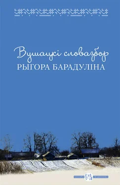 Рыгор Барадулін Вушацкі словазбор Рыгора Барадуліна обложка книги