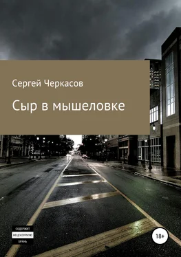 Сергей Черкасов Сыр в мышеловке обложка книги