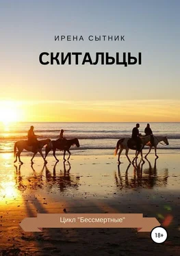 Ирена Сытник Скитальцы обложка книги