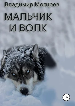 Владимир Могирев Мальчик и Волк обложка книги