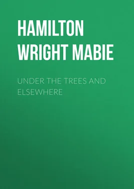 Hamilton Wright Mabie Under the Trees and Elsewhere обложка книги