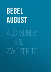 August Bebel - Aus meinem Leben. Zweiter Teil