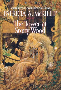 Patricia McKillip The Tower at Stony Wood обложка книги