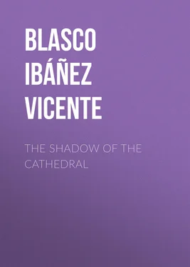 Vicente Blasco Ibáñez The Shadow of the Cathedral обложка книги