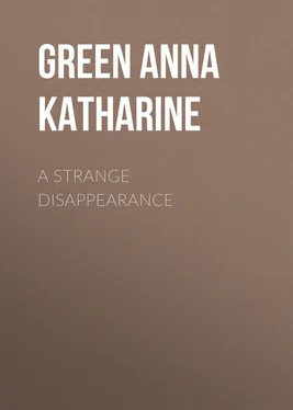 Anna Green A Strange Disappearance обложка книги