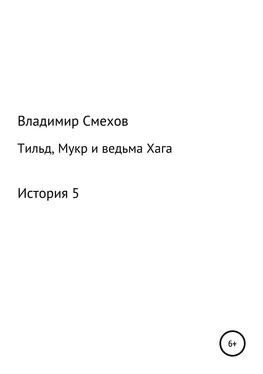 Владимир Смехов Тильд, Мукр и ведьма Хага. История 5 обложка книги