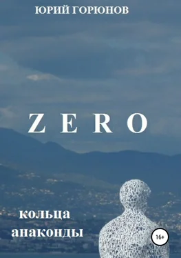 Юрий Горюнов Zero. Кольца анаконды обложка книги