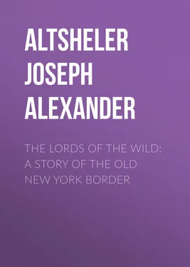 Joseph Altsheler The Lords of the Wild: A Story of the Old New York Border обложка книги